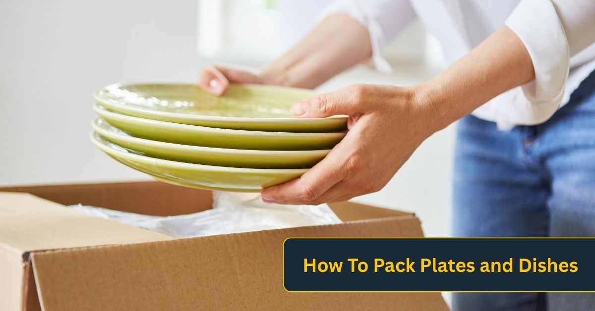 Packing Plates and Dishes