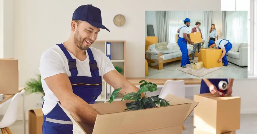 How To Pack a House for Moving